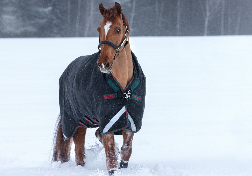 Horseware Utetäcken 250 till 450 gram